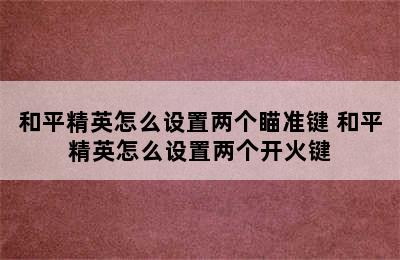 和平精英怎么设置两个瞄准键 和平精英怎么设置两个开火键